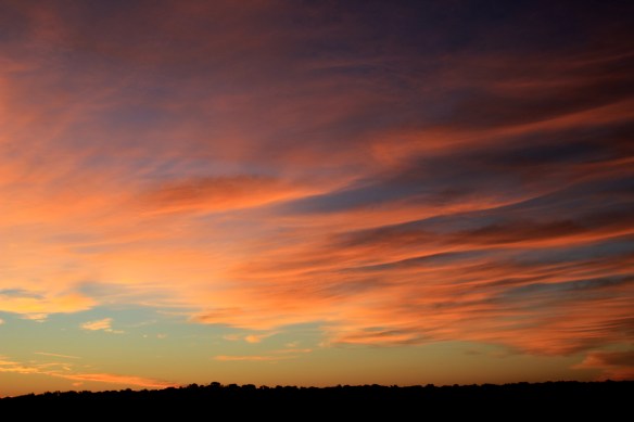 9-13-13 Craig's Crossing 011