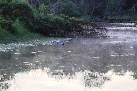 9-13-13 Craig's Crossing 058