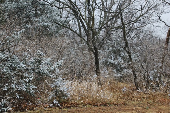 Sunrise & Sparkles 3-24-14 014