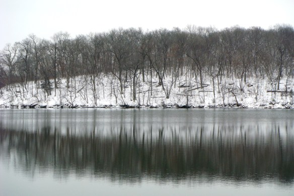 Snow Shots 2-25-11 014