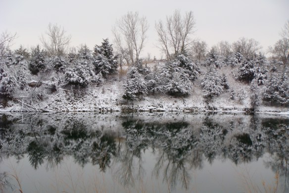 Snow Shots 2-25-11 031.jpg