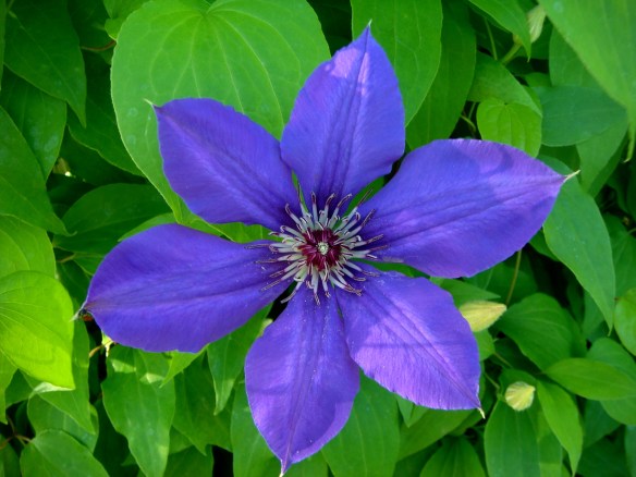 5-26 &amp; 27-11 004