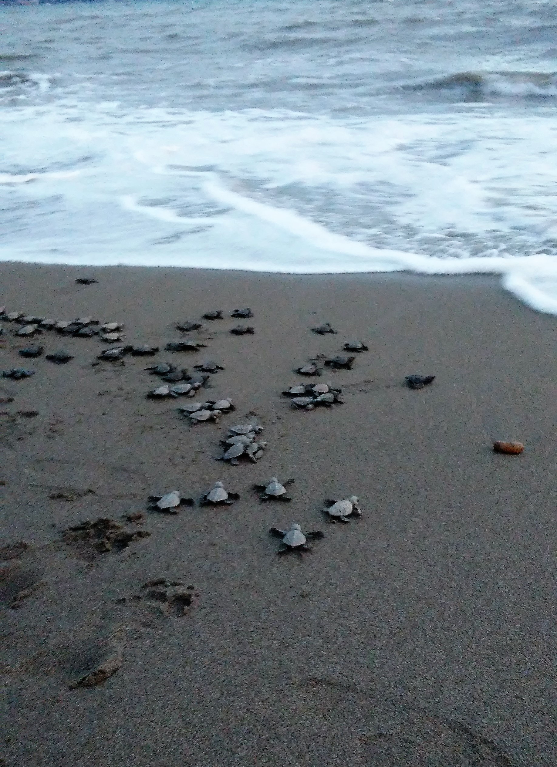 20161203_182424 (2).jpg