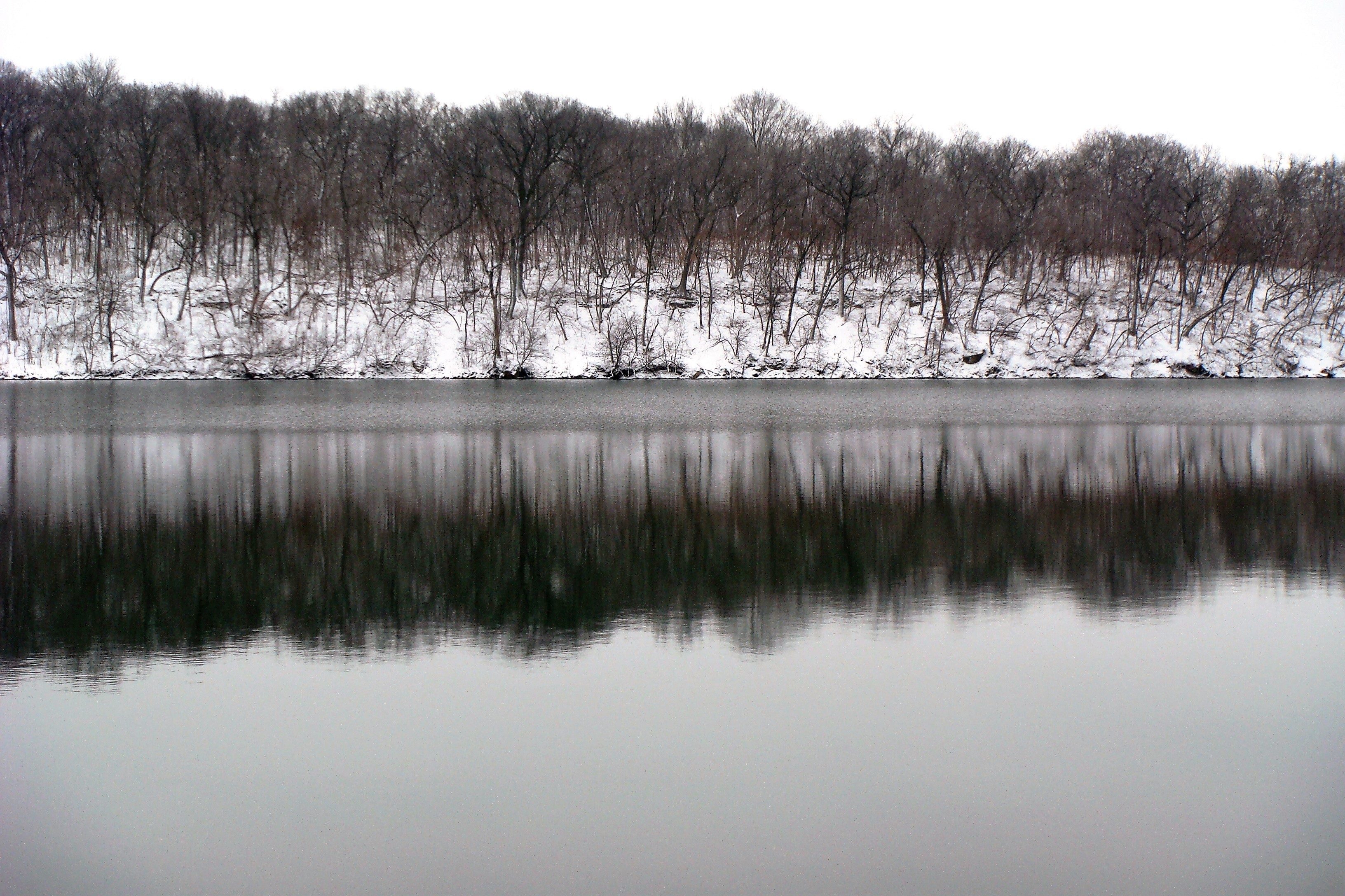 snow-shots-2-25-11-016