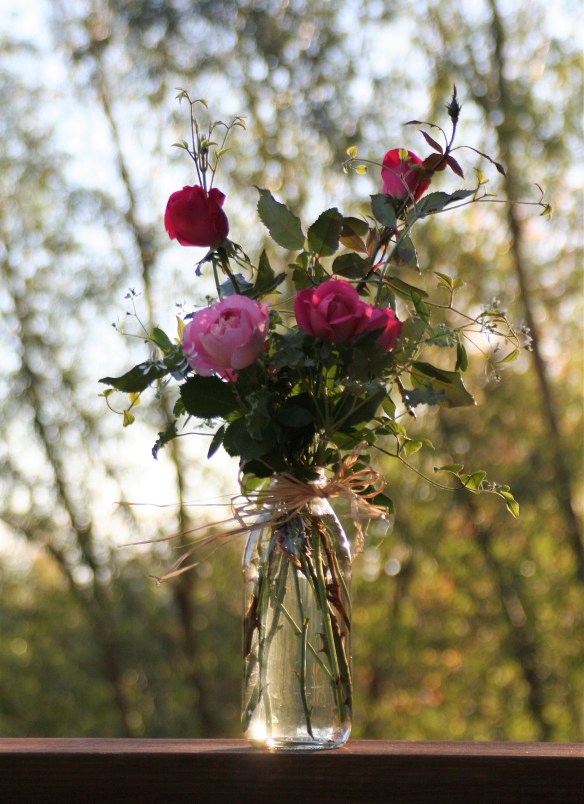 autumn-morning-10-20-12-006-2