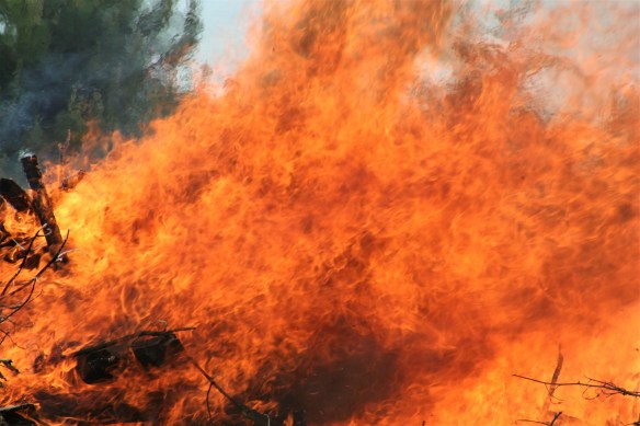 mother's day 061 (2)