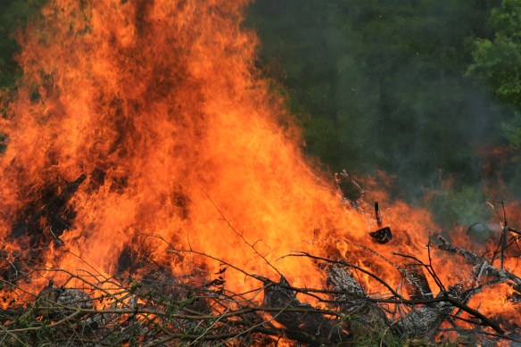 mother's day 064 (2)