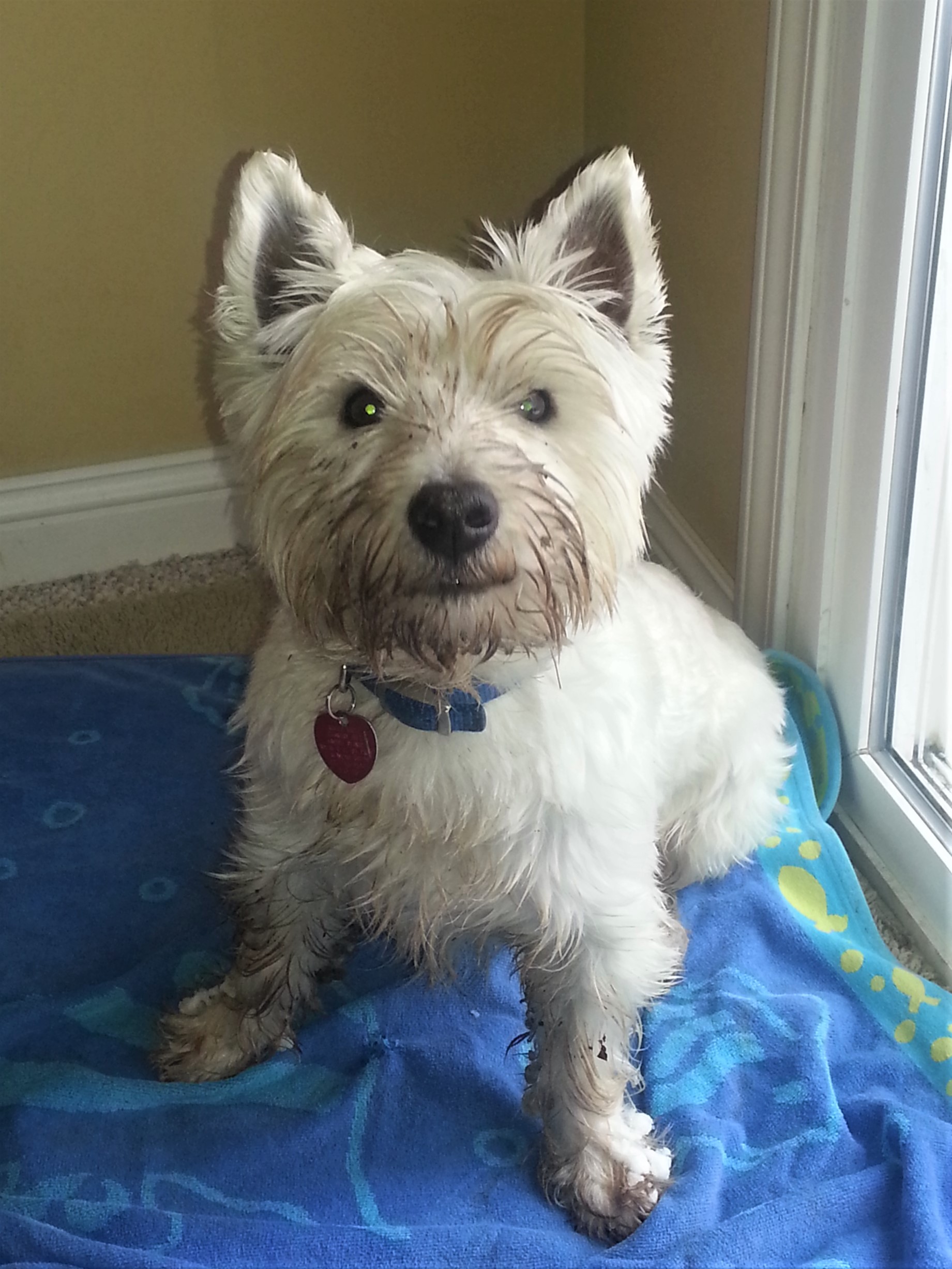 Jan. 1, 2012 Is There a Problem