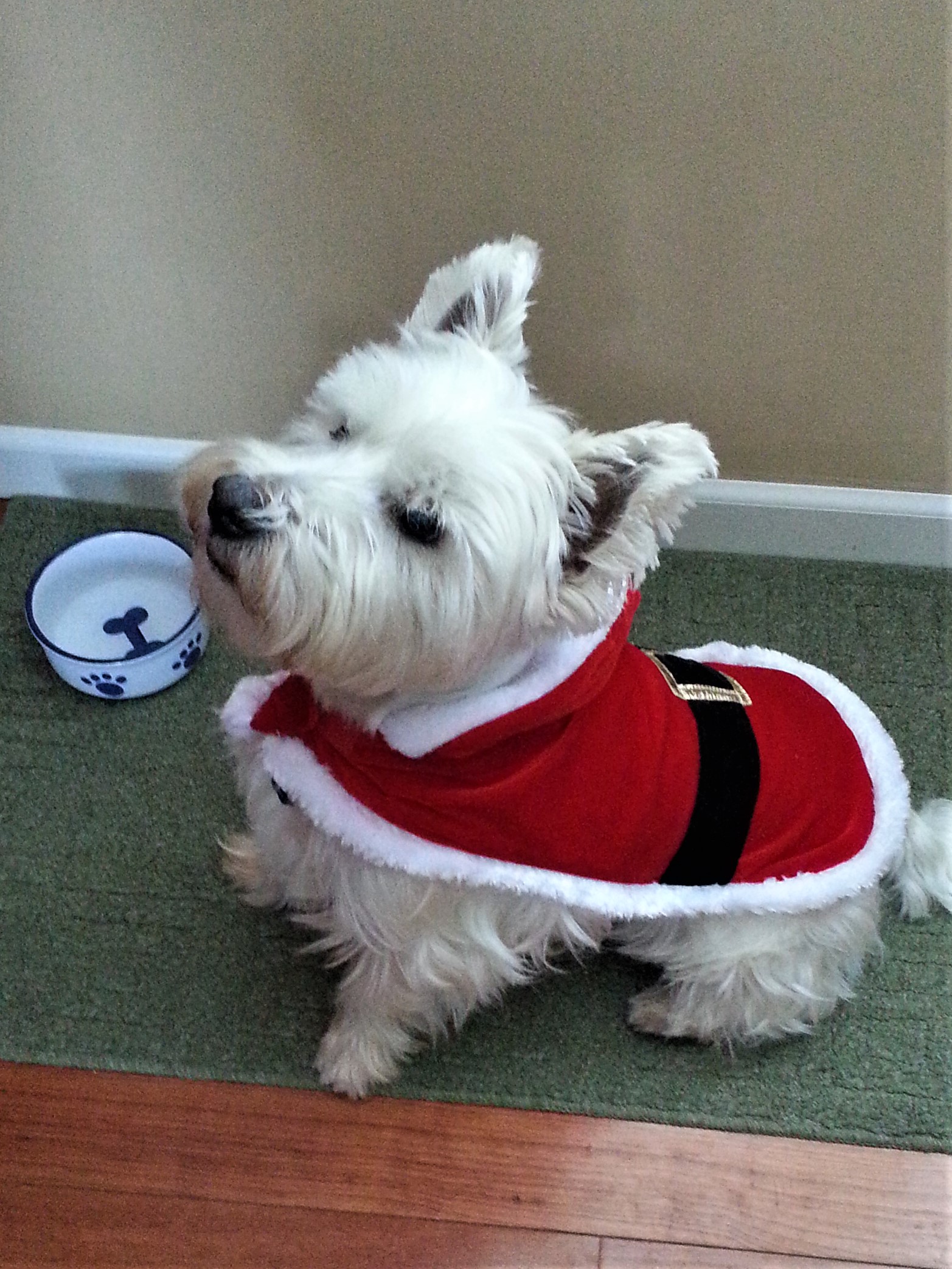 Samsung thru 2-13-14 003