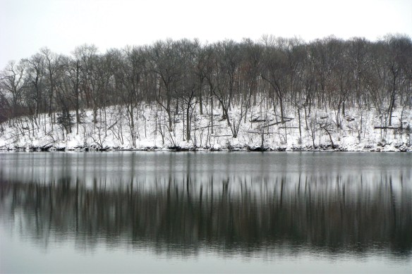 Snow Shots 2-25-11 014