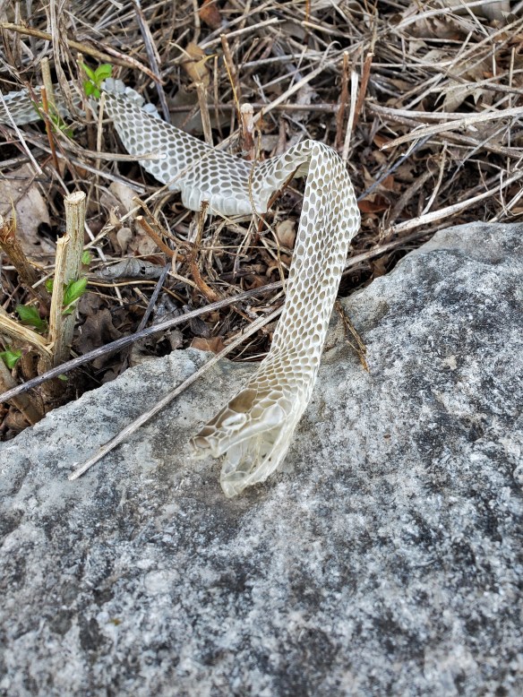 20190729_191220 (2).jpg