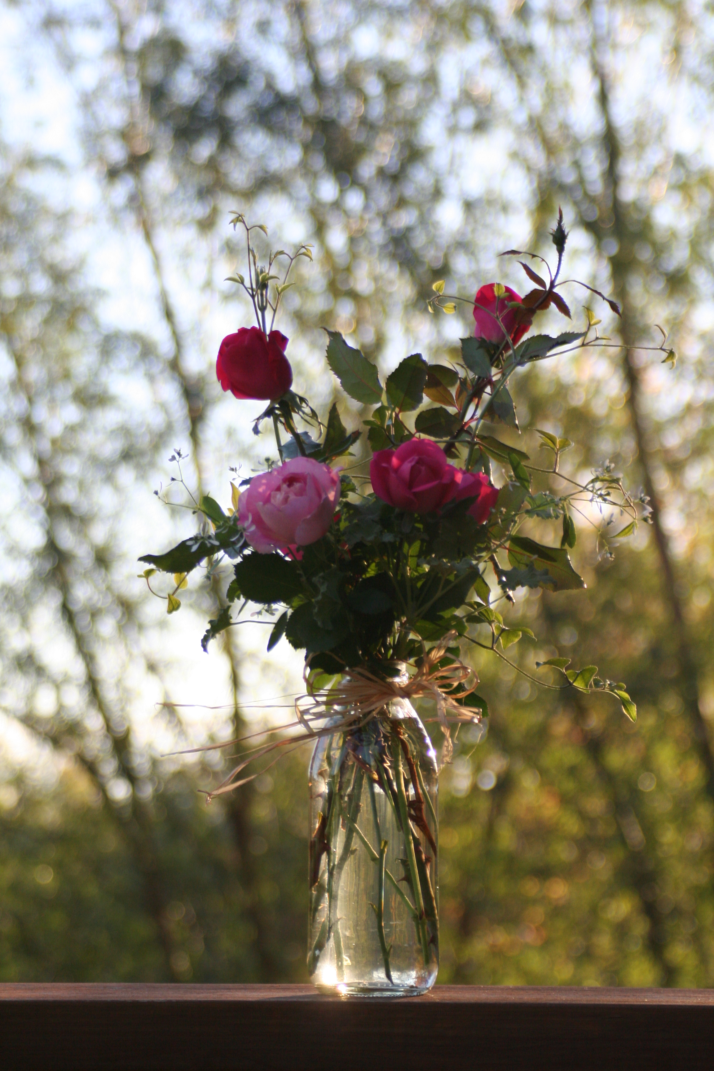 autumn-morning-10-20-12-006